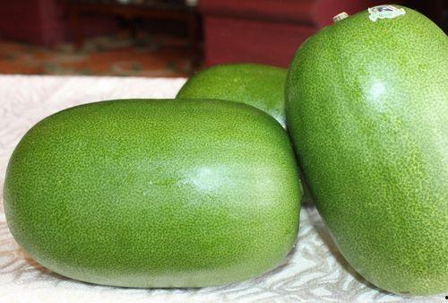 台湾男人吃瓜,瓜界新势力，品味生活新风尚