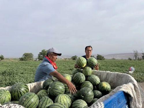 吃瓜集中营,吃瓜集中营带你领略明星幕后故事