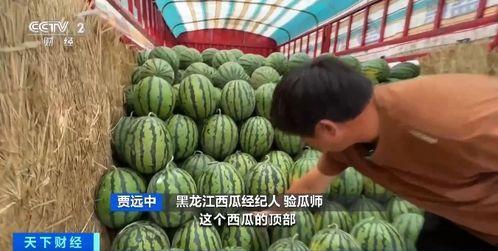 抱团吃瓜,揭秘网络社交新潮流